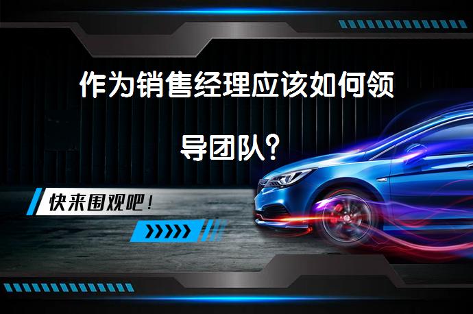 作为销售经理应该如何领导团队？