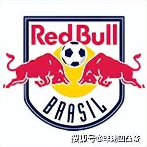 足球界巨鳄红牛集团 三大洲已拥有四支球队 收购计划还在继续进行中-第3张图片-ZBLOG
