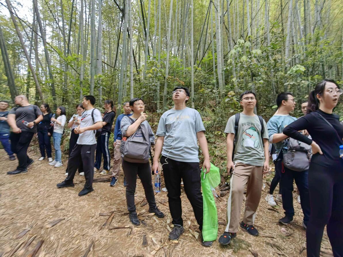 让团建不再烧钱：广东省公司经济型团队团建拓展训练活动户外方案