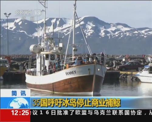 理性数据分析-黑马冰岛的足球环境-第6张图片-ZBLOG
