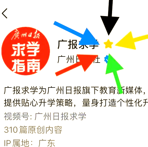 花都跳绳队凯旋归来，多队员破世界纪录