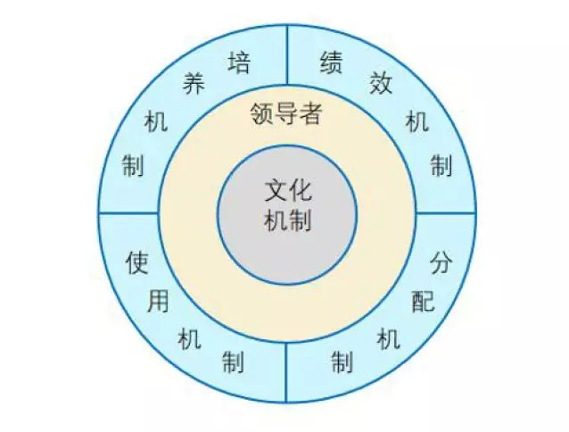 施炜：逆周期影响下如何构建特别能战斗的高能力组织？-第4张图片-ZBLOG